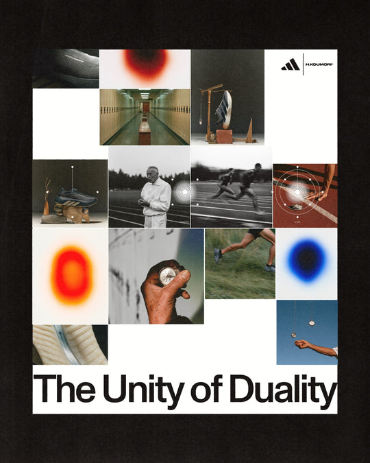 The Unity of Duality