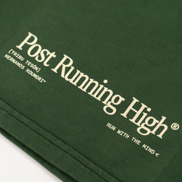 PRH Gradient High Green Shorts - Imagen 4 -  PRH Gradient High Green Shorts